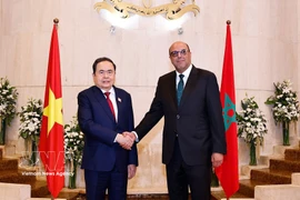 El presidente de la Asamblea Nacional de Vietnam, Tran Thanh Man, se reúne con el titular de la Cámara de Consejeros, Mohamed Ould Errachid, el 25 de julio de 2025 (Fuente: VNA) 
