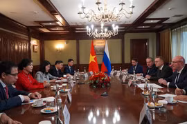 Ngo Phuong Ly, esposa del secretario general del Partido Comunista de Vietnam, se reúne con el viceprimer ministro de Rusia, Dmitry Chernyshenko. (Fuente: VNA) 