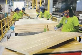 Procesamiento de madera para la exportación en una fábrica en la provincia sureña de Binh Duong. (Foto: VNA)