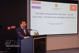 Según el viceprimer ministro Nguyen Van Thang, la relación entre Vietnam y los Países Bajos se está desarrollando de manera muy positiva y sustancial, especialmente en los ámbitos económico, comercial y de inversión. (Foto: VNA)