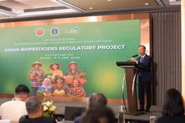 Nguyen Quang Hieu, subdirector del Departamento de Producción de Cultivos y Protección de Plantas del Ministerio de Agricultura y Medio Ambiente, pronuncia el discurso de inaugiración. (Fuente: daibieunhandan.vn)