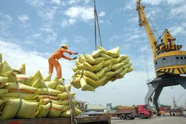 Vietnam amplía la exportación de arroz hacia Canadá
