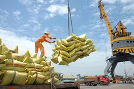 Vietnam amplía la exportación de arroz hacia Canadá