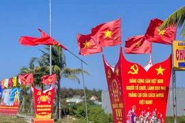 Alta tasa de participación de votantes en las elecciones en Vietnam