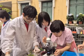 Una profesora guía a sus alumnos en la aplicación práctica de la ciencia. (Fuente: VNA)