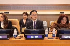 El embajador Do Hung Viet preside el seminario (Fuente: VNA) 