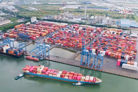 Buques portacontenedores atracan en el puerto TCIT, parte del complejo portuario de Cai Mep (Fuente: sggp.org.vn)