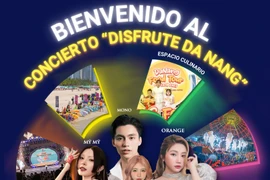 Bienvenido al Concierto "Disfrute Da Nang" 