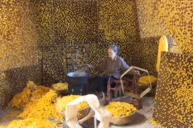 Aldea artesanal de Ha Trao revitaliza su tradición sedera gracias al turismo experiencial