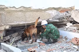 Se llevan perros de servicio al lugar. (Foto: VNA)