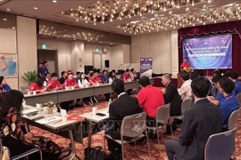 En el foro (Fuente: VNA)