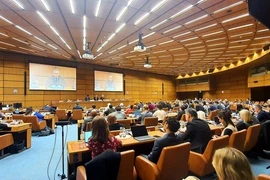 En la sesión informativa sobre la Convención de la ONU sobre la lucha contra los delitos cibernéticos y las acciones de implementación de la misma (Fuente: chinhphu.vn)