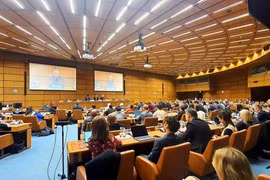 En la sesión informativa sobre la Convención de la ONU sobre la lucha contra los delitos cibernéticos y las acciones de implementación de la misma (Fuente: chinhphu.vn)