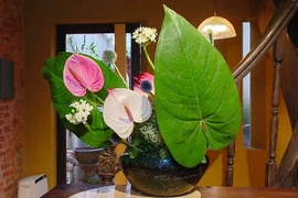 Un paraíso de Ikebana en el corazón de Hanoi
