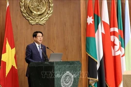 Vietnam busca promover cooperación con los países árabes