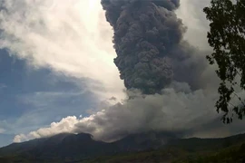 El monte Lewotobi, en la provincia indonesia de Nusa Tenggara Oriental, entra en erupción el 28 de diciembre. (Foto: Xinhua/VNA)