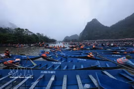Miles de barcos para atender a los turistas (Fuente: VNA)