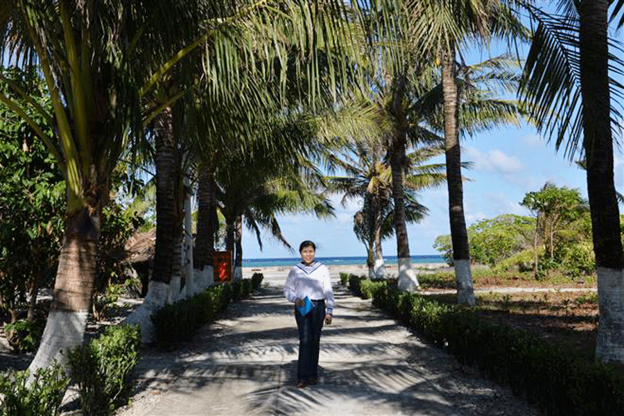 Los cocoteros en la isla Nam Yet, símbolo de la voluntad de soldados vietnamitas ảnh 1 Los cocoteros en la isla Nam Yet, símbolo de la voluntad de soldados vietnamitas ảnh 1