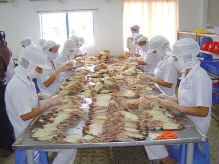 Prevén en Vietnam aumento leve de exportaciones de calamares y pulpos en 2017 ảnh 1