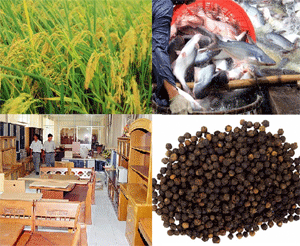 Exportaciones de productos agroforestales y acuícolas totalizan más de 29 mil millones USD ảnh 1 Exportaciones de productos agroforestales y acuícolas totalizan más de 29 mil millones USD ảnh 1