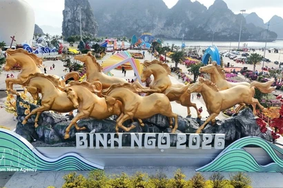 Una vista panorámica de la instalación del bulevar de flores y luces que brilla a lo largo de la orilla de la bahía patrimonial. (Foto: VNA)