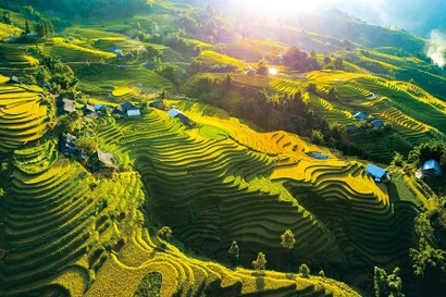 Las terrazas del arroz en Sapa