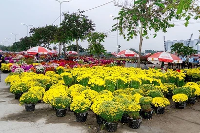 Mercado de flores de primavera Binh Dien 2026: Un evento inolvidable para el Tet (Foto: VNA)