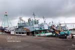 Barcos pesqueros anclados en el puerto pesquero de Cat Lo la mañana del 5 de septiembre, preparándose para su jornada de pesca. Foto: VNA