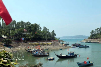 Da Nang: Pesca sostenible en los alrededores de la isla Cu Lao Cham 