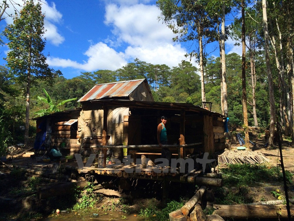 El dueño de esta cabaña cultiva fresa y cría aves de corrales al servicio de turistas. 