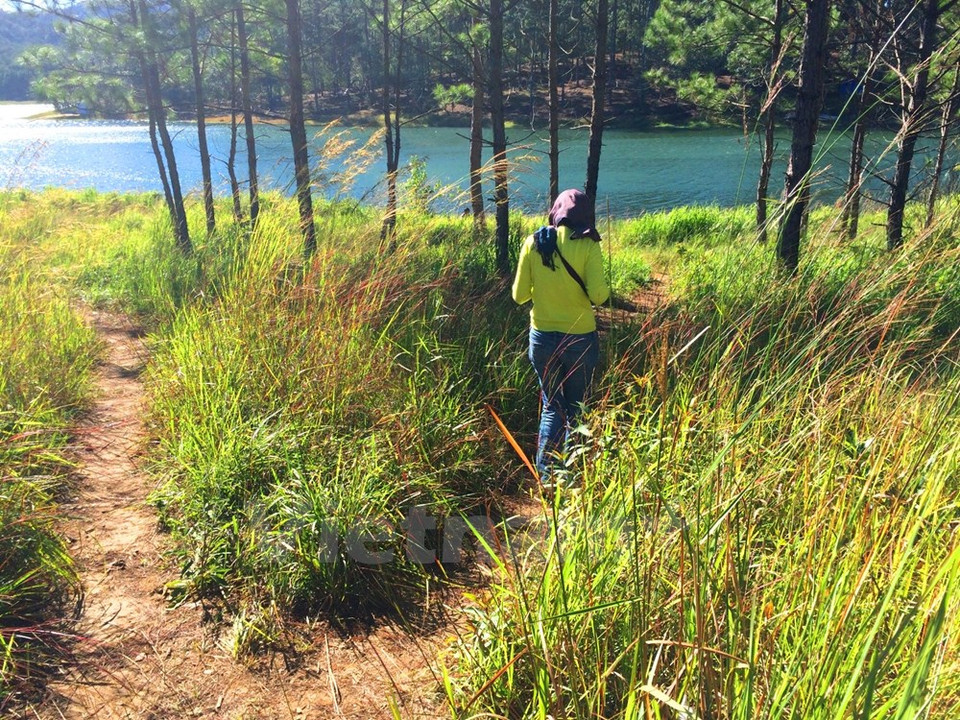 Reporteros de la VNA comenzamos el viaje desde el lago Tuyen Lam. Localizada a 1500 metros sobre el nivel del mar, Da Lat de la provincia altipilana de Lam Dong es bendecida con el clima fresco por todo el año. 