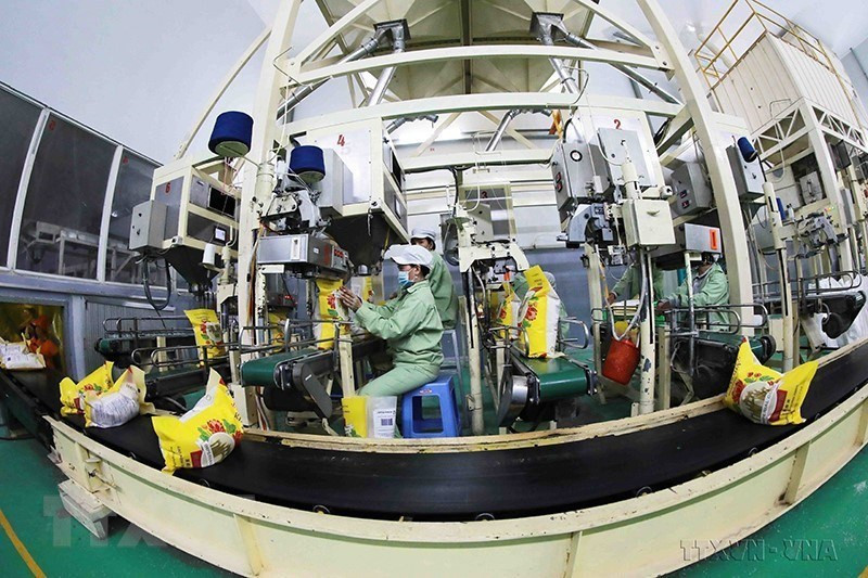 El grupo Loc Troi, pionero en la construcción de la cadena de valor del arroz de Vietnam, cuenta actualmente con cinco fábricas de alimentos con una capacidad de 200 mil toneladas al año. (Foto: VNA)