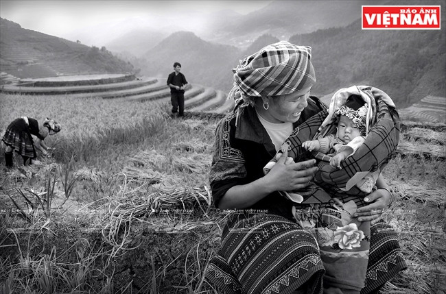 Temporada de cosecha