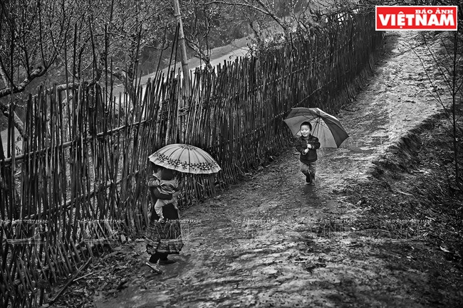 ¡Mamá ha regresado!