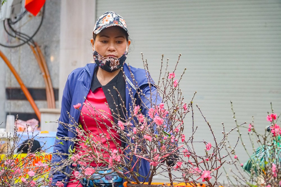 Las ramas de flor de melocotón se consideran "especialidades" en este mercado tradicional. Los pequeños comerciantes de la aldea Nhat Tan traen estos artículos al mercado de flores Hang Luoc en el casco antiguo para venderlos en los días previos al Tet (Año Nuevo Lunar). La gente encuentra elegancia en la afición por las flores y plantas. Es posible que no compren ni vendan, sino que simplemente vengan al mercado de las flores para encontrar alegría en el colorido entorno. Cuanto más cerca está el Tet (Año Nuevo Lunar), más concurrida y bulliciosa se torna esta feria, creando una atmósfera alegre en los días previos a la mayor celebración de los vietnamitas. (Fuente: Vietnam +)