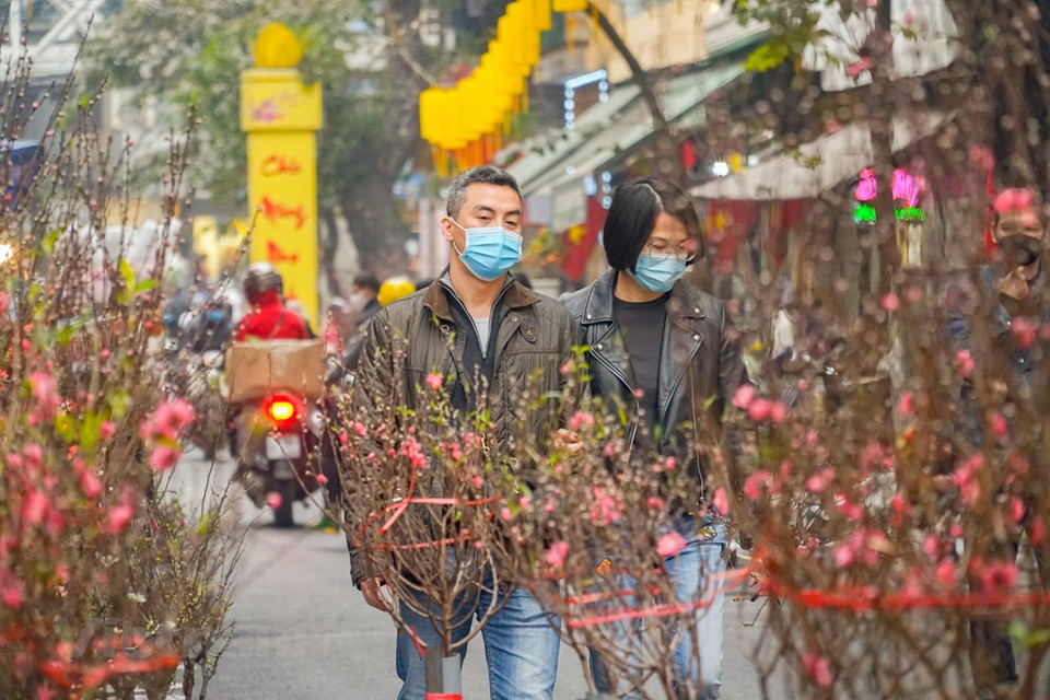 Con casi 500 años de antigüedad, el mercado de flores Hang Luoc solo se reúne una vez al año con motivo del Tet (Año Nuevo Lunar). Del 23 al 30 del mes de diciembre en el calendario lunar, los agricultores suburbanos de las aldeas de Ngoc Ha, Tu Lien, Nghi Tam, Nhat Tan y Quang Ba, entre otras, traen flores aquí para la venta. Cuanto más cerca está el Tet (Año Nuevo Lunar), más concurrida y bulliciosa se torna la feria de flores Hang Luoc en el casco antiguo de Hanoi. Algunas personas acuden aquí durante los siete días, no necesariamente para comprar algo, sino para disfrutar del ambiente de primavera (Fuente: Vietnam +)