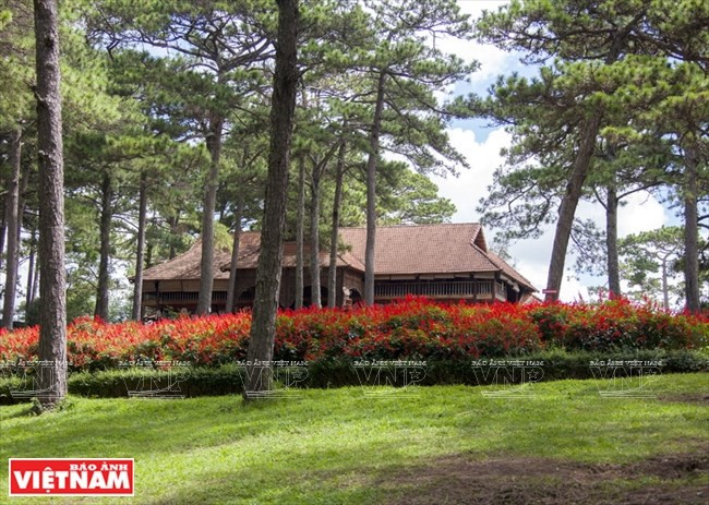 Foto de ilustración (Fuente: VNA)