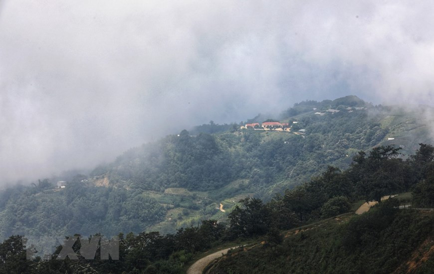 El sol crea una majestuosa belleza de los campos de arroz en Y Ty. Durante la temporada de "caza de nubes", de septiembre a abril de cada año, Y Ty siempre parece estar cubierto por un mar de nubes blancas y flotantes. (Fuente: VNA)