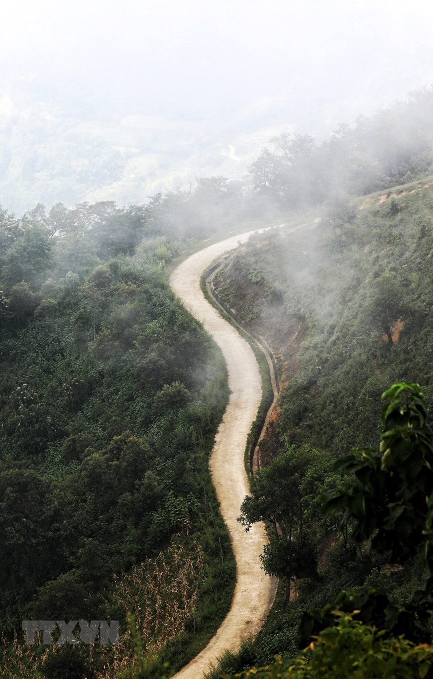 A finales de agosto y principios de septiembre, cuando el arroz empezó a madurar, Y Ty ofrece un pasaje encantado con el color dorado, que se extendía inmensamente, y el nuevo aroma del grano. (Fuente: VNA)