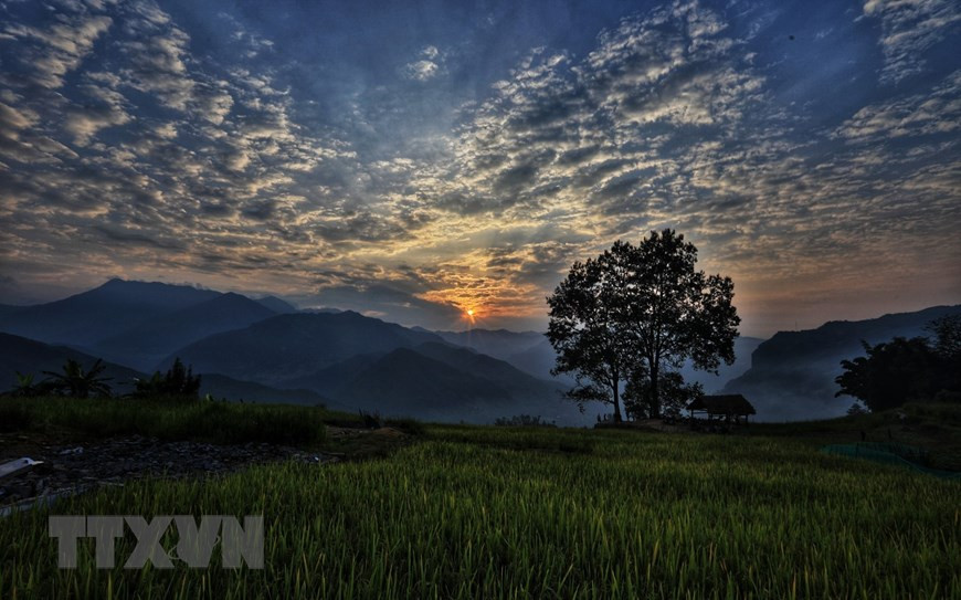 Cuando el agua inundó los campos, las minorías étnicas se desdibujaron y los campos inundados se convirtieron en el lugar de juego de los niños cuando sus padres trabajaban duro en los campos. Además de la temporada de caza de nubes, los visitantes pueden venir a Y Ty durante la temporada de cosecha de arroz de agosto a septiembre y la temporada de canola amarilla desde diciembre hasta después del Año Nuevo Lunar. (Fuente: VNA)