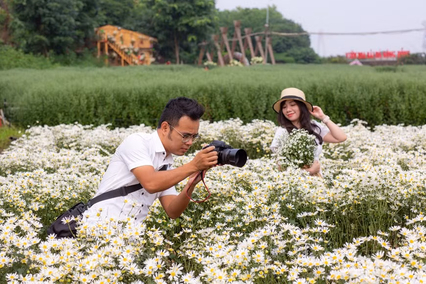 A fines de octubre, algunos jardines en Hanoi han abierto la puerta a los visitantes para que tomen fotos del crisantemo que florece temprano (Foto: Vietnam +)