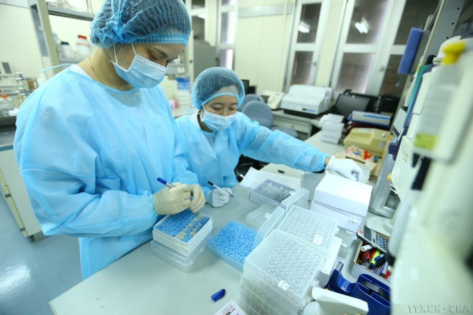 Un grupo de científicas del Instituto Nacional de Higiene y Epidemiología ha aislado con éxito la nueva cepa del virus corona (SARS-CoV-2), convirtiendo a Vietnam en uno de los primeros cuatro países que cumplen con éxito esa tarea.