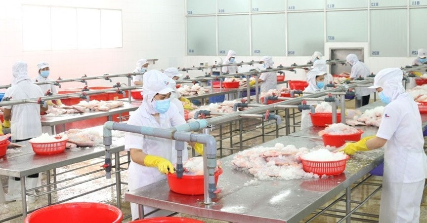 Las empresas de Ciudad Ho Chi Minh se esfuerzan por mantener la producción. (Foto: VNA)