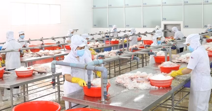 Las empresas de Ciudad Ho Chi Minh se esfuerzan por mantener la producción. (Foto: VNA)