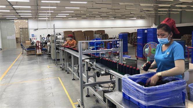 Los trabajadores de la empresa Gunzetal Vietnam se mantienen todos en sus puestos para garantizar la continuidad de la línea de producción (Foto: VNA)