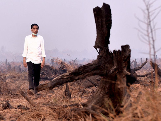 El presidente indonesio Joko Widodo inspeccionó el lugar del siniestro en el sur de la provincia Kalimantan. El gobierno advirtió que adoptará sanciones más estrictas a los culpables de ilegales incendios forestales.