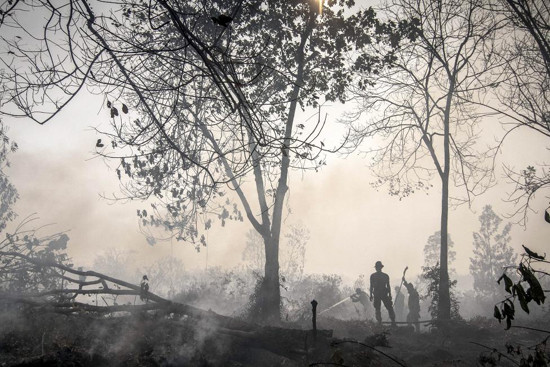 Bomberos indonesios apagan fuegos en la provincia Riau de la isla Sumatra en el Oeste del país.