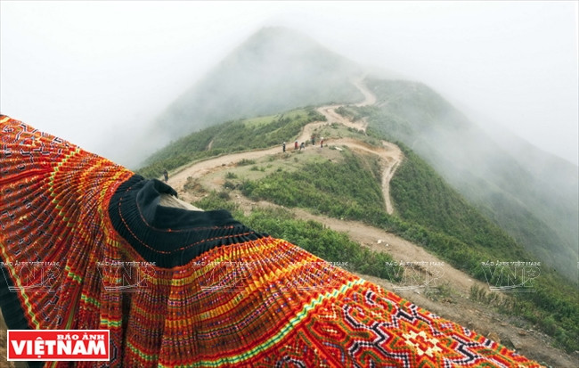 La montaña es considerada como la columna dorsal de Dinosaurios, una de las tres elevaciones que forman Ta Xua a una altura de 1 600 metros.(Foto: VNA)