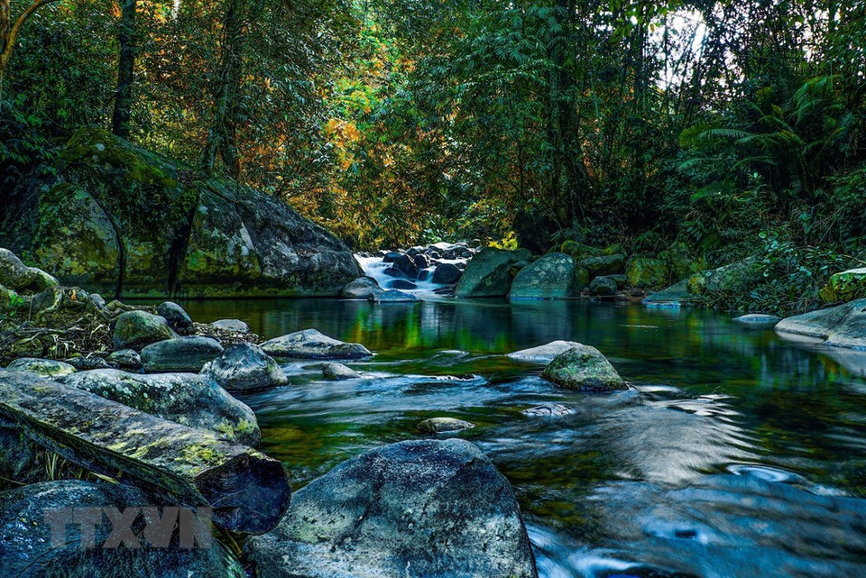 Hace más de 10 mil años, algunos de esos volcanes siguieron siendo activos, creando un sistema de cavernas volcánicas, considerado por los científicos como el más largo, amplio y peculiar del Sudeste Asiático. (Foto: VNA)