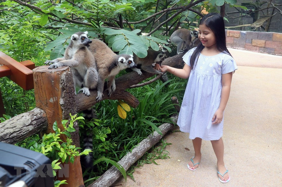 Vinpearl Safari Phu Quoc es uno de los lugares más atractivo para vacacionistas en la isla (Foto: VNA)